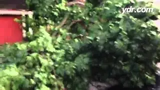 Storm cleanup in emigsville