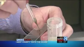 Health Dept. testing Grand for E. coli