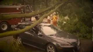 Danarchy Car
