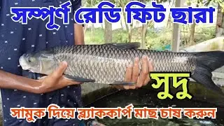 রেডি ফিট ছারাই চাষ করুন উন্নত মানের ব্ল্যাককার্প মাছের পোনা Black Carp maser Pona. 