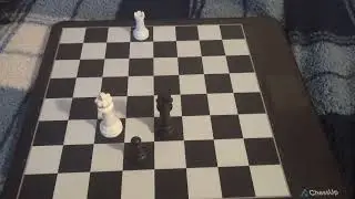 Chess Endgames: King and Pawn vs Rook/ Queen and Pawn. #chessendgame #chessdraws