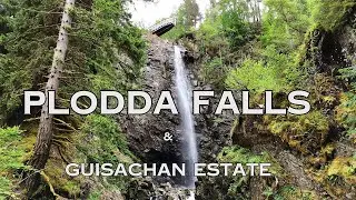 Plodda Falls - One of the best waterfalls in Scotland? & Guisachan Estate - Home of Golden Retriever