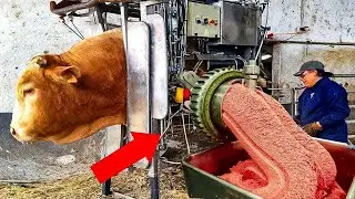 Modern Production Processes That Will Send Shivers Down Your Spine