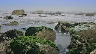 Natural Sea Sounds on Rocks  1 Hour of Relaxation 🌊