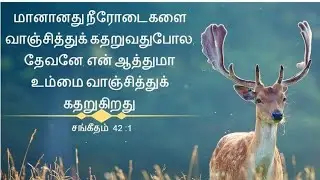 சங்கீதம் 42| sangeetham 42 in tamil|கோராகின் புத்திரர் யார்?