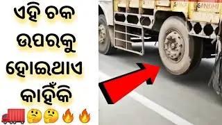 🤔 Odia Amazing Facts || Facts in odia || Odia Facts || #odiashort #odiafacts #odia