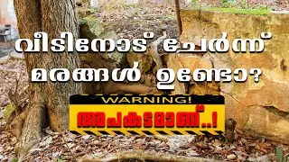 Tree roots going into House Foundation in Kerala #homedot #hometech #homedotapp #root