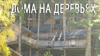 Лесная сказка - велосезон. Вид с квадрокоптера. Качество 4к. Алматы 2020.