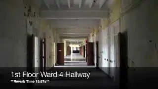 Trans-Allegheny Lunatic Asylum Acoustic Archives Reverbs