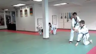 Kids Hapkido Class in Toronto  |  Bayview-Leaside Martial Arts for Kids