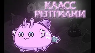 КЛАСС 