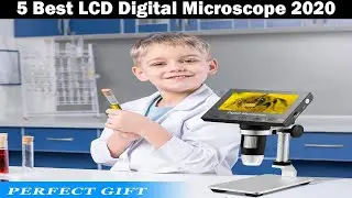 TOP 5: Best LCD Digital Microscope in 2020 🛒 Amazon