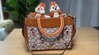 Closer look at Disney X Coach Rogue Bag 25, What fits inside & MODSHOTS
