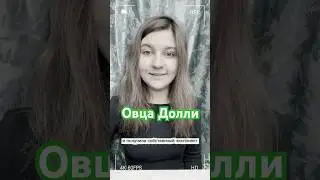 Хотите узнать подробнее о самом процессе клонирования? #животные #клонирование #Долли #овцы