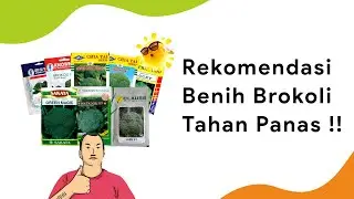 8 Benih Brokoli Tahan Panas Dataran Tinggi, Unggul Musim Kemarau | Lucky Bejo