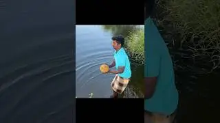 மீன் தீவனம் 🐠 மீன் வளர்ப்பு முறை 120 days challenge #shortvideo #fishfood #fishing #fish #tamil
