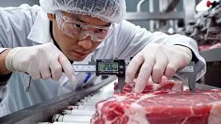 Inside a Sausage Factory Revealing Modern Pig Processing