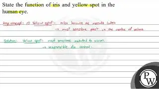 State the function of iris and yellow spot in the human eye.