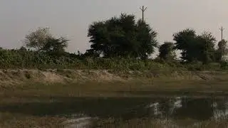 Mahindra Thar Kosi Canal Crossing 4x4 off roading