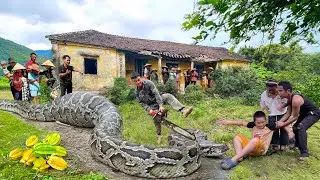 Clean Up the Scariest House | Giant Python Attacks 6-Year-Old Boy, Neighbors Panic in Fear