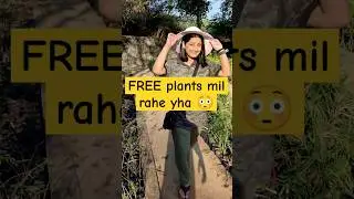 Free plants in Delhi  Nursery !!!