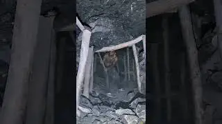 Risking Everything to mine coal in Caves #coal #coalmining #mining #Cave #gems #gold #underground