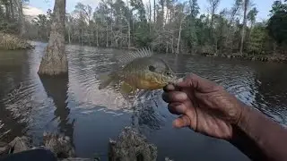 Squeaky Rod Gets the Grease/Skinny Guy Camper Tour