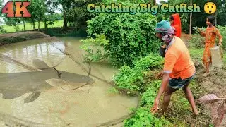 Fisherman catch big catfish by cast net fishing - Magur mass dhara - Amazon Fishing