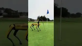 Futuristic golf partner 🤖 #golf