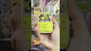 Opening 3rd Pack in my Great Ball Pokemon Tin!  #pokemon