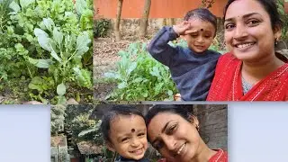 Our favorite vegetable garden ❤️❤️