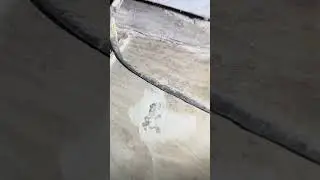 Dorsett Catalina 1965 restoration cockpit floor sanding delaminated delamination epoxy resin