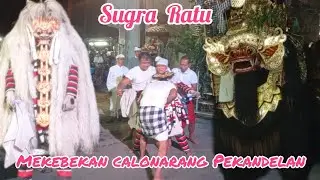 METEBEKAN SERU CALONARANG PEKANDELAN KERAMBITAN TABANAN 