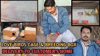LOVE BIRDS CAGE & BREEDING BOX DELIVERY TO CUSTOMER'S HOME | Male - Female Identify of Love Bird |