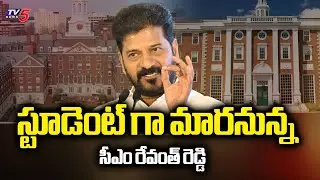 CM Revanth Reddy Will Attend A leadership Programme At Harvard University In America | TV5 News