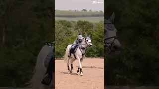 You thought wrong 🤭🐴🎀 #horse #harlow #viral