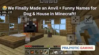 😂 We Finally Made an Anvil + Funny Names for Dog & House in Minecraft!