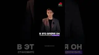В Беларуси вводят запрет на лов двух видов рыб