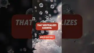 🌬️Effective Air Cleaning with Ozone Generators - Mold Busters