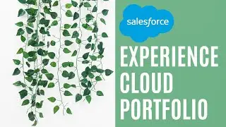 My Salesforce Experience Cloud Portfolio 🌿