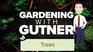 Gardening with Gutner | Trees