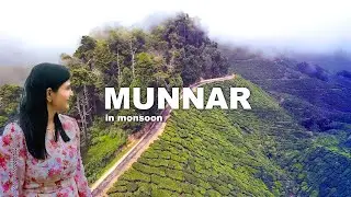 🌿 💧 Monsoon Magic in Munnar: Mettupetty Dam, Photo Point and More!