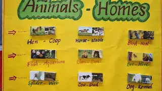 Science Project for kids || Simple Science Project || Animals and their Homes