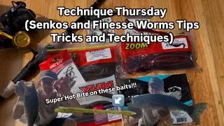 Technique Thursday(Finesse Fishing with Worms Tips, Tricks, and Techniques for Largemouth Bass)