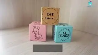 wonderLearn LKG Student Welcome Kit- Art / Literacy / Motor Skills