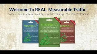 Traffic Ivy Review