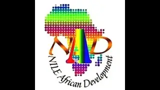 African Development Ambassadors weekly review and Experience sharing  Strategic Leadership