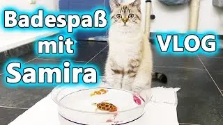 BADESPAß MIT SAMIRA! Katze spielt mit ROBO FISH! Hat Samira Angst vor Wasser? Spiel mit mir