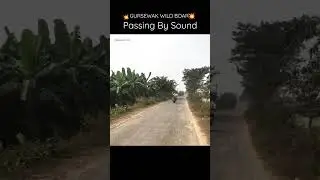 Wild Boar Exhaust Passing By Sound#shorts#royalenfieldexhaust#bulletpataka#passbysound#experiment