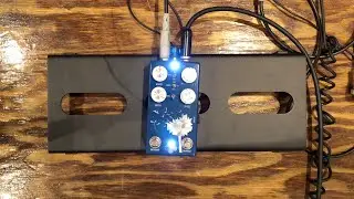 Flower Pedals - Dandelion - Stompbox Expo 2019